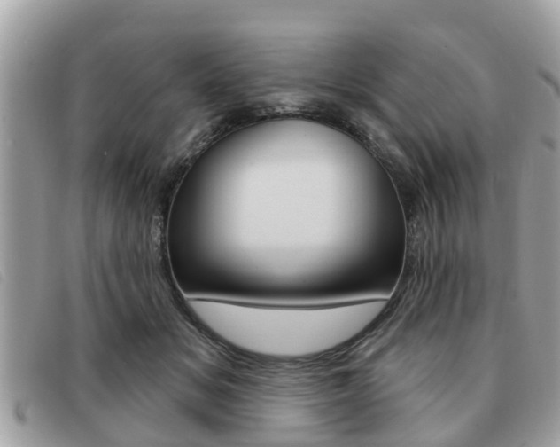X0000091530509200708170952