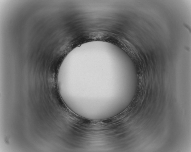 X0000091530510200708170952