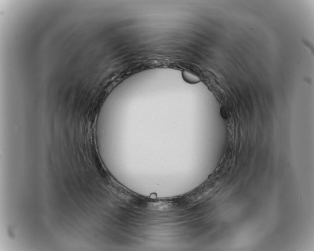X0000091530511200708170952
