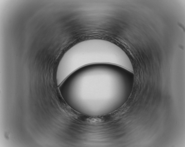 X0000091530512200708170952