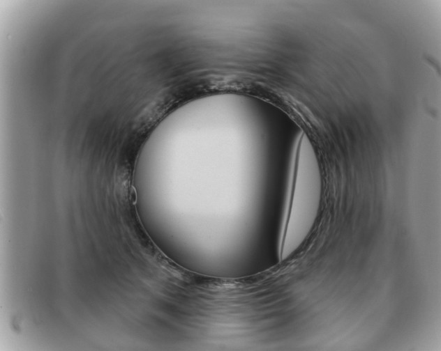 X0000091530513200708170952