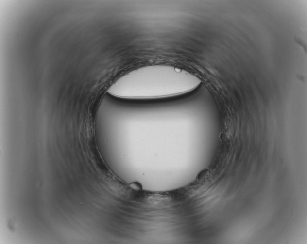 X0000091530515200708170952