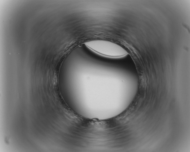 X0000091530517200708170952
