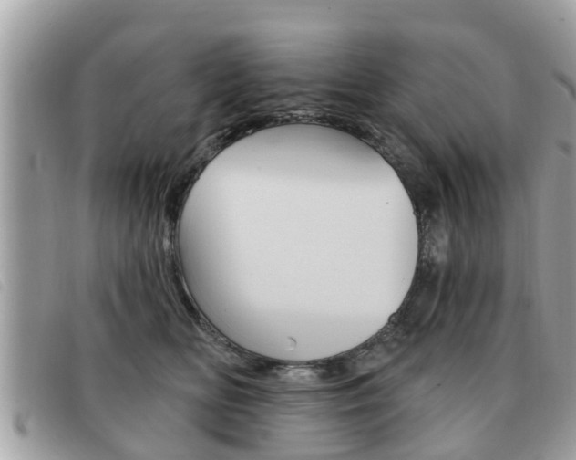 X0000091530518200708170952