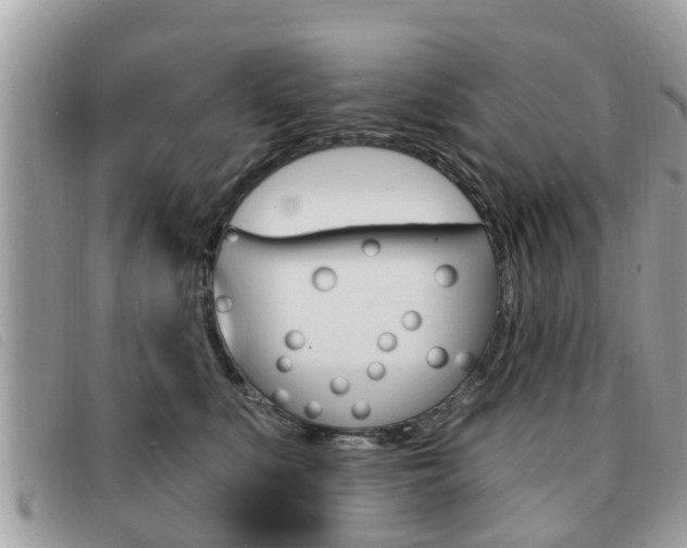X0000091530519200708170952