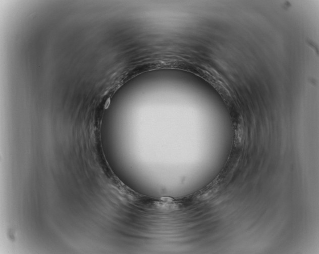 X0000091530520200708170952