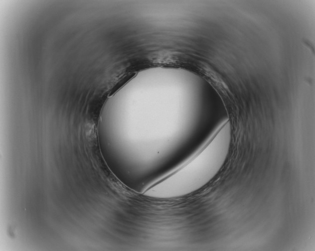 X0000091530521200708170952