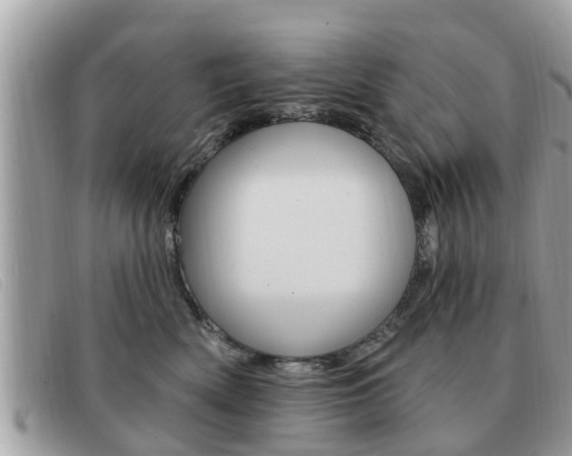 X0000091530522200708170952