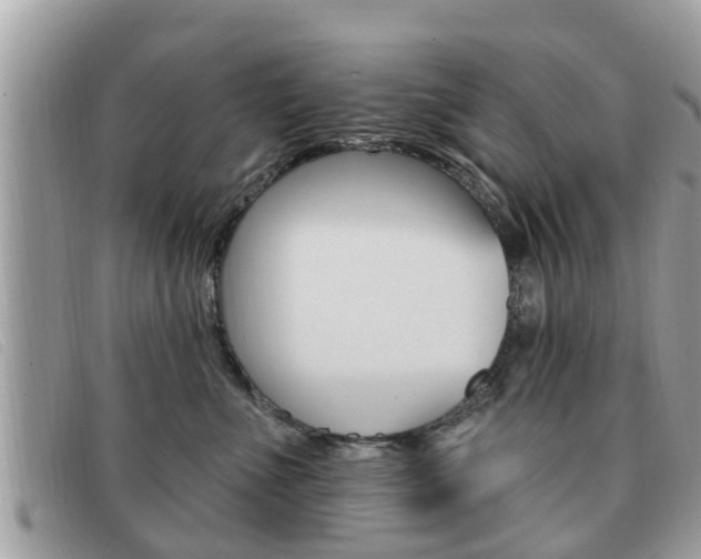 X0000091530523200708170952