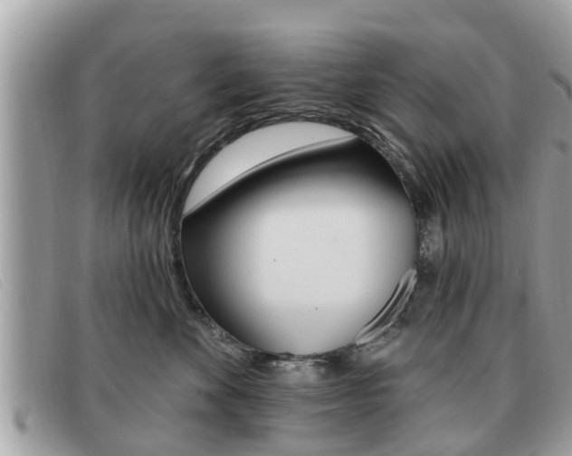 X0000091530524200708170952