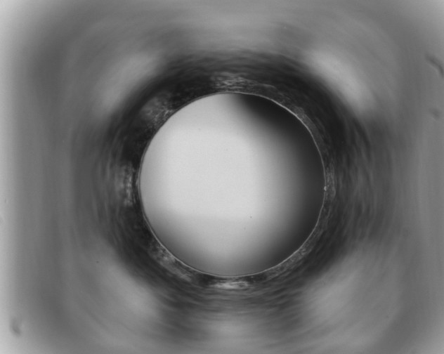 X0000091530525200708170952