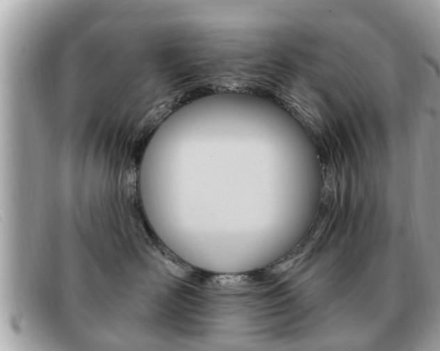 X0000091530526200708170952