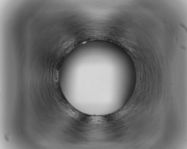 X0000091530528200708170952