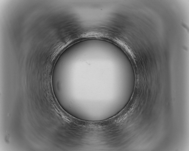 X0000091530529200708170952