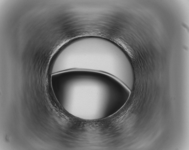 X0000091530532200708170952