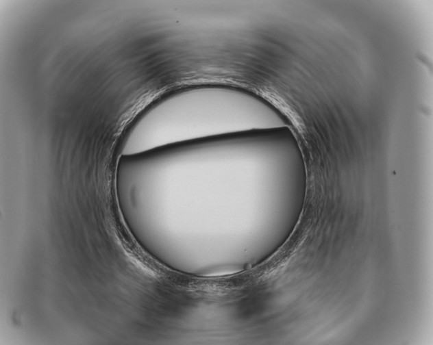 X0000091530533200708170952