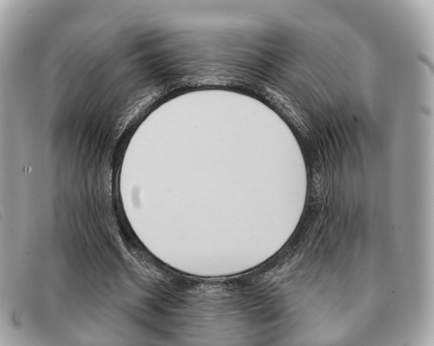X0000091530534200708170952