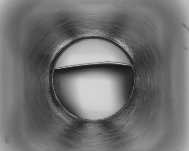X0000091530535200708170952