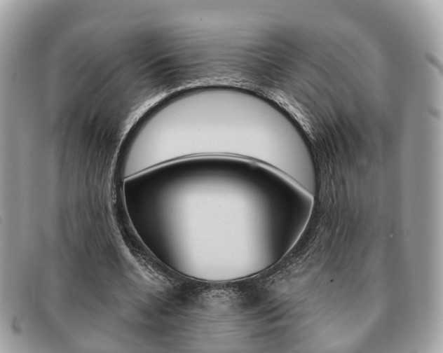 X0000091530536200708170952