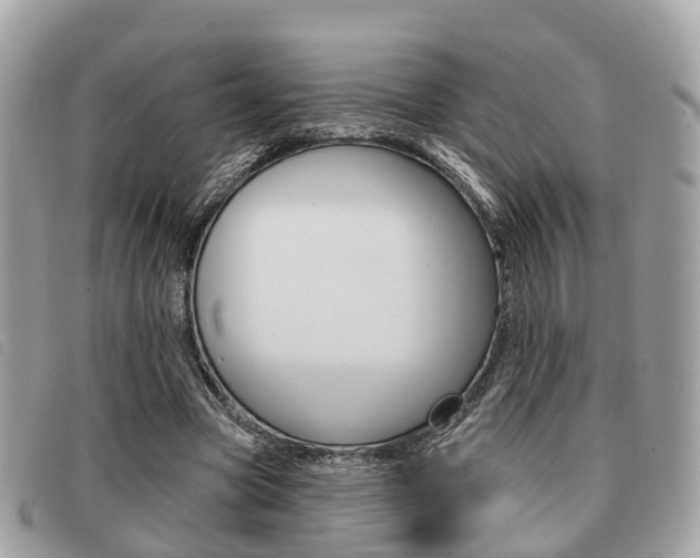 X0000091530537200708170952