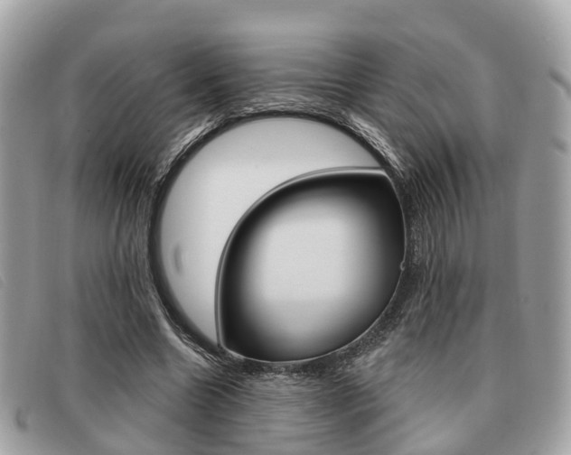 X0000091530538200708170952