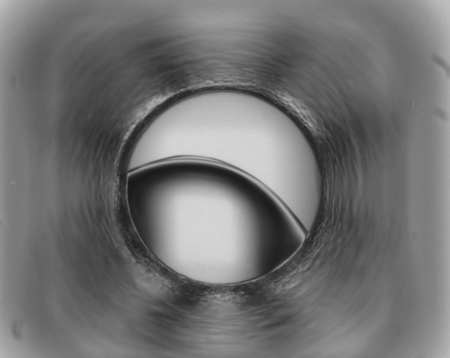 X0000091530540200708170952