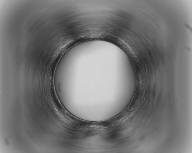 X0000091530542200708170952