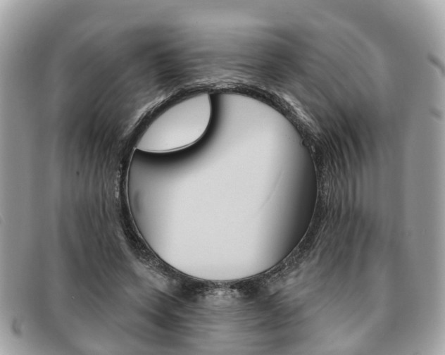 X0000091530543200708170952