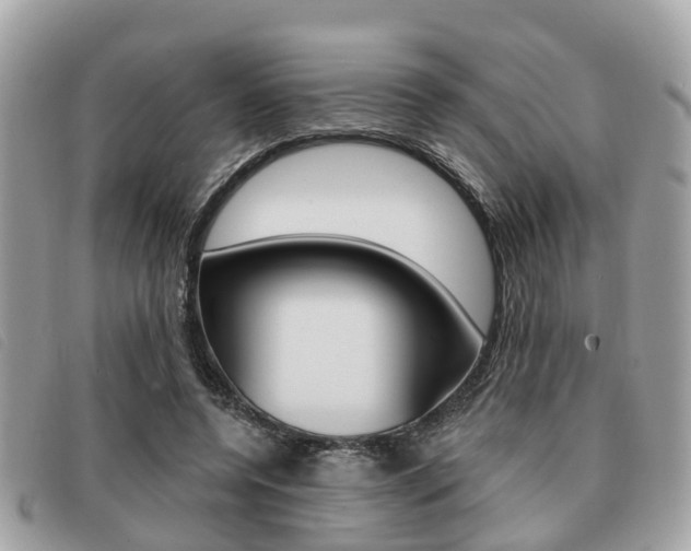 X0000091530544200708170952
