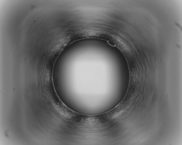 X0000091530546200708170952