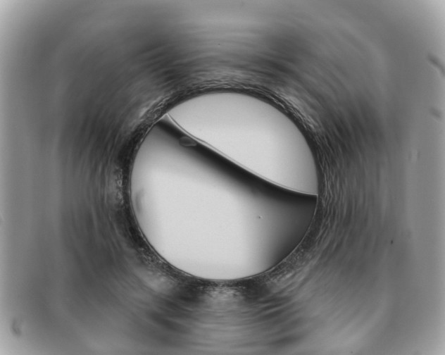 X0000091530547200708170952