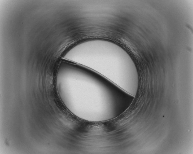 X0000091530548200708170952