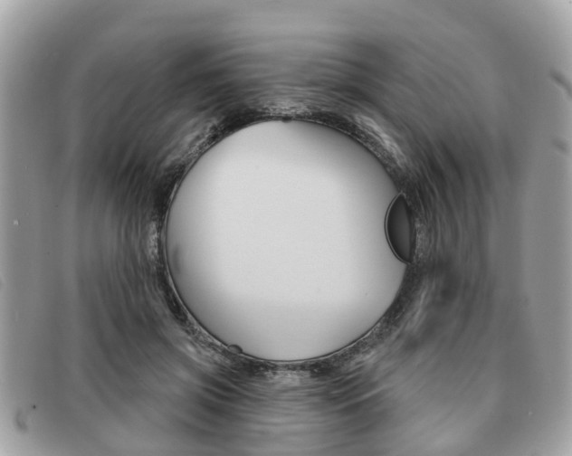 X0000091530549200708170952