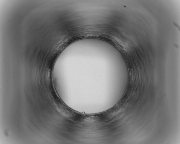 X0000091530550200708170952