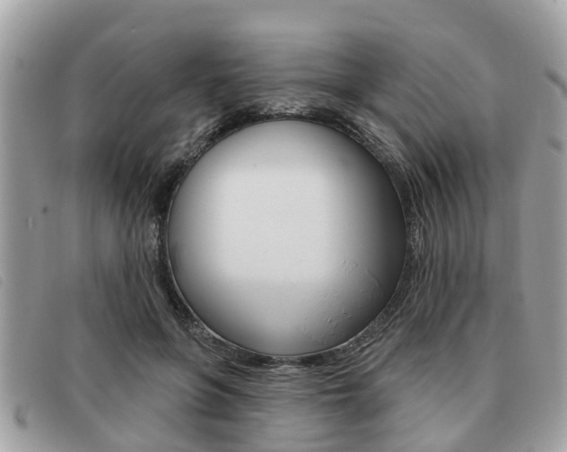 X0000091530551200708170952