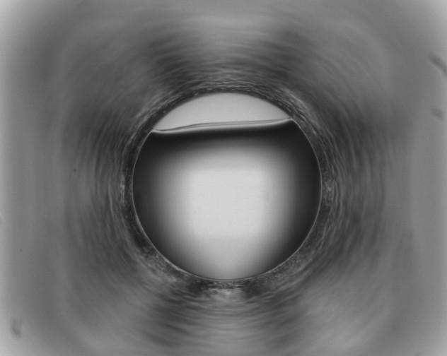 X0000091530552200708170952