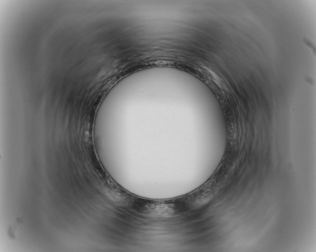 X0000091530553200708170952