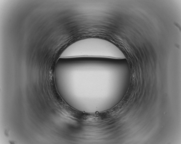 X0000091530555200708170952