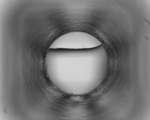 X0000091530557200708170952