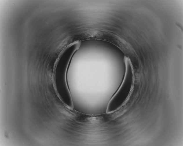 X0000091530558200708170952