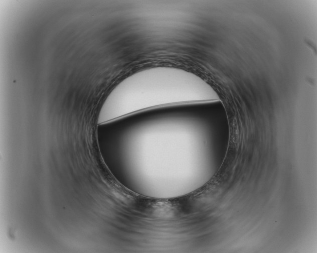 X0000091530562200708170952