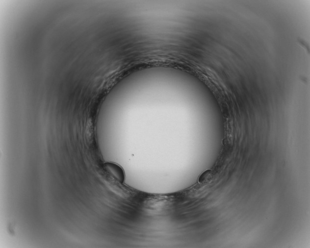 X0000091530563200708170952