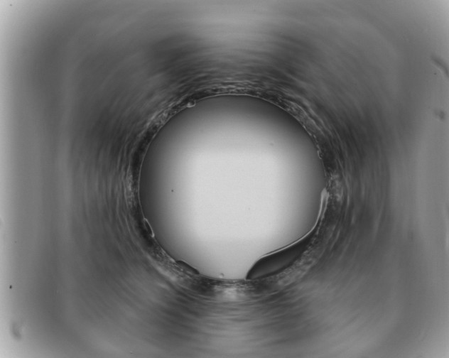 X0000091530564200708170952