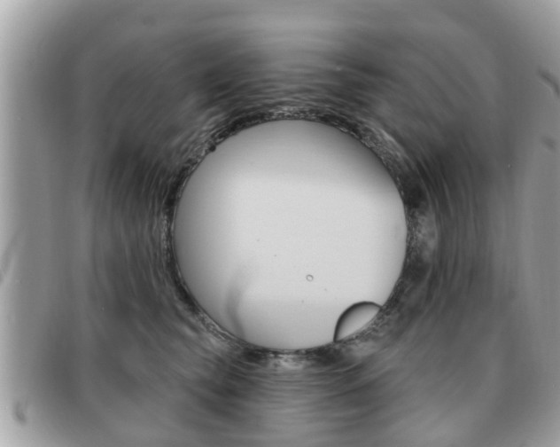 X0000091530565200708170952