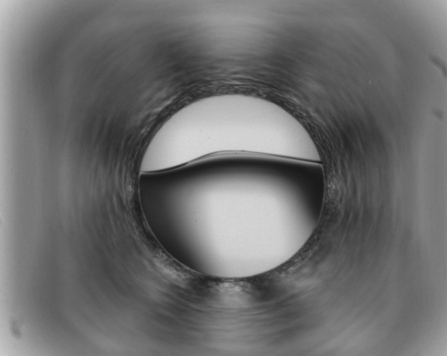 X0000091530566200708170952