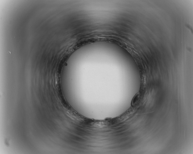 X0000091530567200708170952