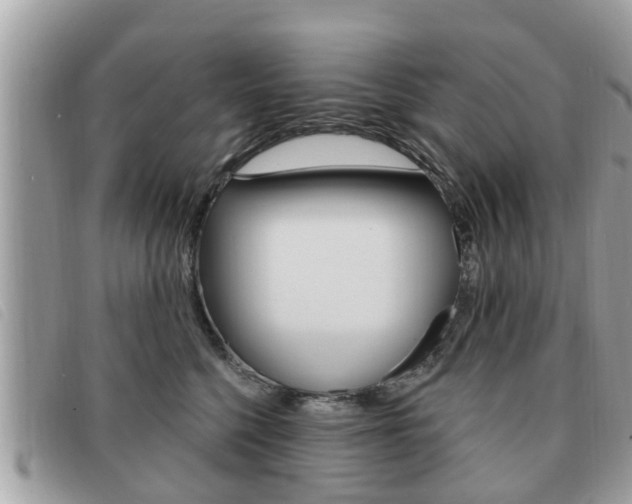 X0000091530568200708170952