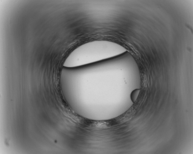 X0000091530569200708170952