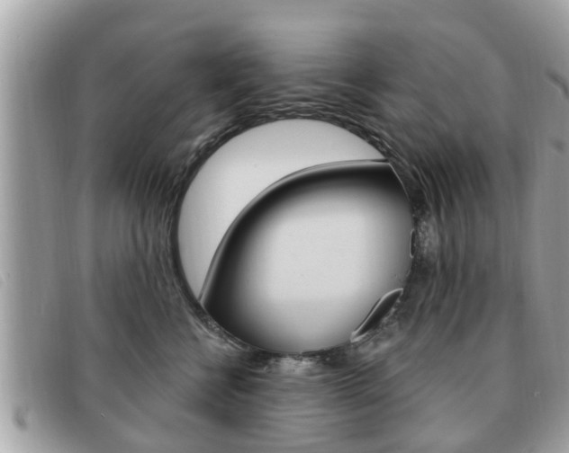 X0000091530570200708170952