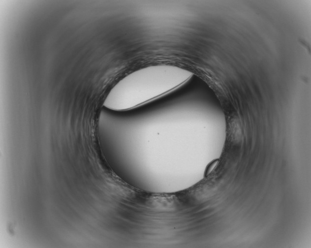 X0000091530571200708170952